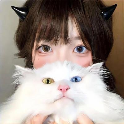 从前有个傻子特工